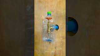 Don’t Throw Away That Bottle—Water Your Plants With It! 🪴♻️