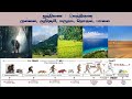 தமிழரின் நிலைத்திணைகள் குறிஞ்சி முல�