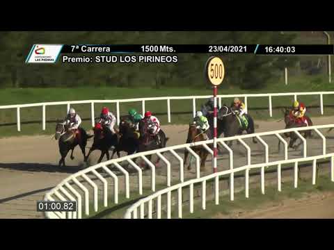 210423 c07 - CHOCOLATE TOUCH - HIPODROMO LAS PIEDRAS