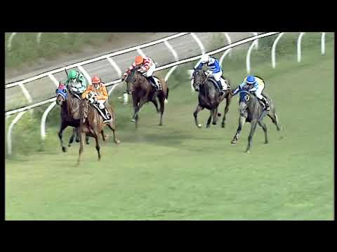 Galoppo 25/07/2020 - 4ª corsa