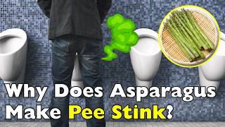 The Strange Reason Asparagus Makes Your Pee Stink