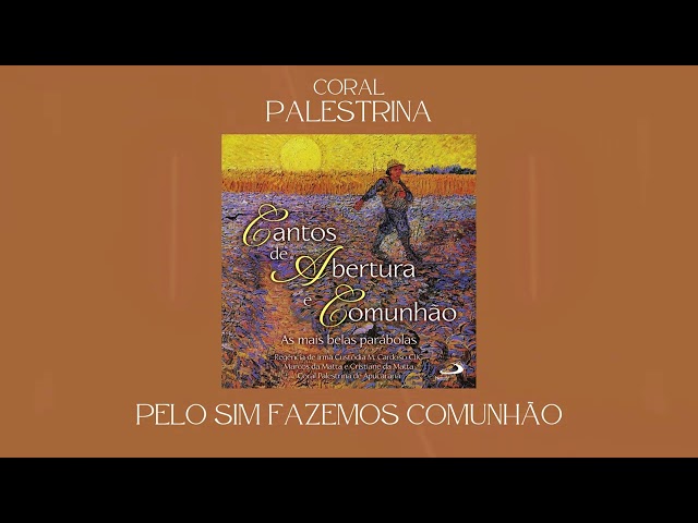Preview do vídeo