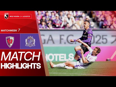 bg-highlight