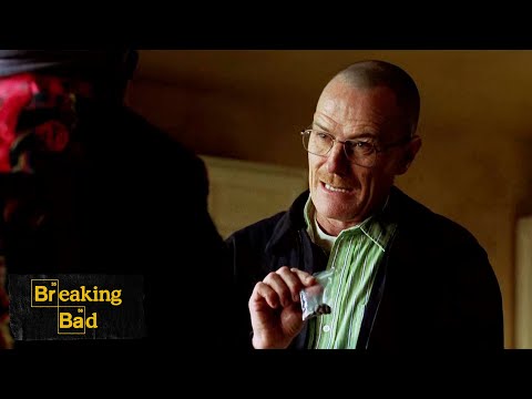 The Toxicity of Ricin Beans | Seven Thirty-Seven | Breaking Bad