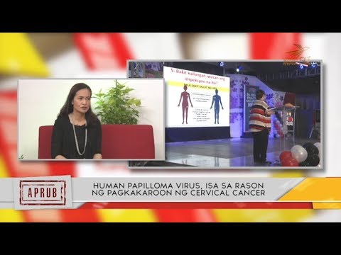 a humán papillomavírus eliminációja hpv magas kockázat és terhesség