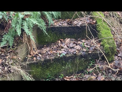 DEN GAMLA TRAPPAN och rester av ett BÅTMANSTORP - 210121 - Påtorp - RONNEBY - Blekinge (iPhone SE)