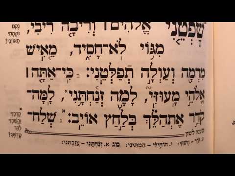 תהלים פרק מג׳ Tehilim perek 43 Psalms chapter 43 שפטני אלקים וריבה ריבי