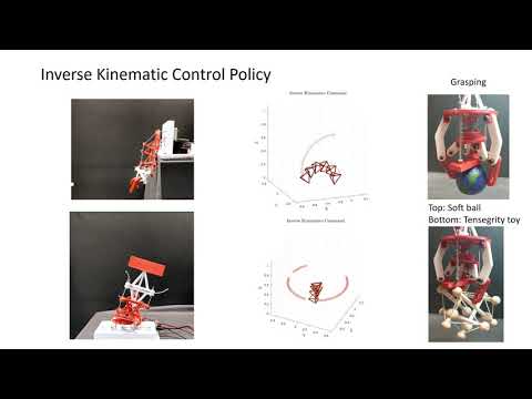 HEDRA: A Bio-Inspired Modular Tensegrity Soft Robot With Polyhedral Parallel Modules