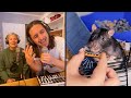 The Kiffness ft. Kiff Wife X Veronica (The Rat) on Harmonica [Live Looping Dance Mashup]