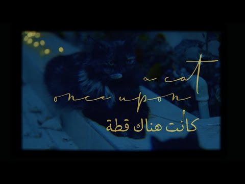 Once upon a cat/ كانت هناك قطة