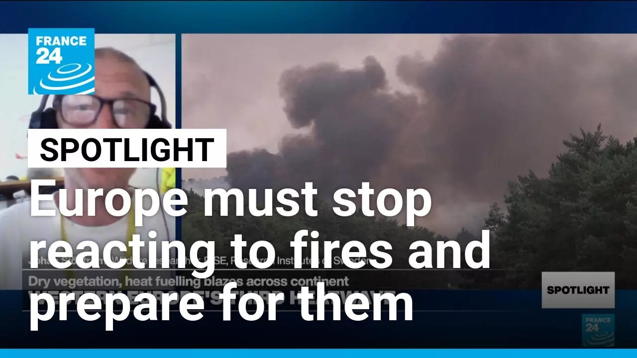 Europe's Wildfire Crisis Demands Land Management Overhaul, Swedish Scientist Warns