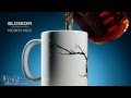 Blossom Morph Mug Demo Video