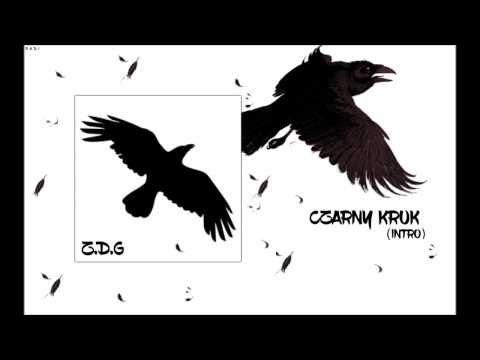 00. Z.D.G - Czarny Kruk (INTRO)