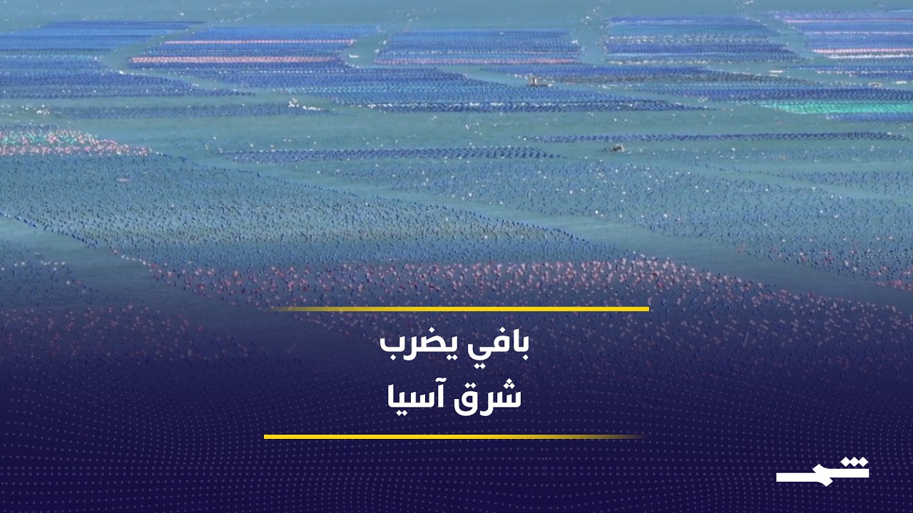 فيديو | إعصار بافي يجتاح شرق آسيا وسط استعدادات لمواجهة مخاطره