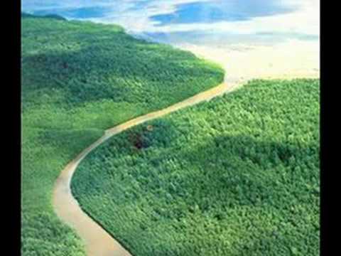 Yo nací para quererte. Carlos Baute.