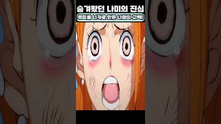 루피를 니카로 만든 나미의 고백!