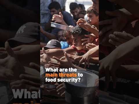 What are the main threats to food security?