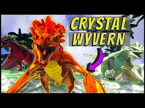 Crystal Wyvern Crystal Isles | Ember crystal wyvern | Blood wyvern ark | tropical wyvern