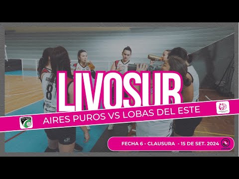 Lobas del Este vs Aires Puros - Livosur 2024 - Divisional H