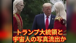 世界のSNSネットで話題‼️トランプ大統領と宇宙人の写真流出か‼️ついに人類に宇宙人が公開される可能性‼️チャンネル登録よろしく‼️2026年6月13日‼️