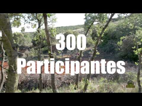 PRESENTACION. MTB VELLISCA