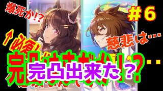 【ウマ娘】新育成シナリオ記念サポートガチャをライトハロー狙いで引いていきますその6　#53