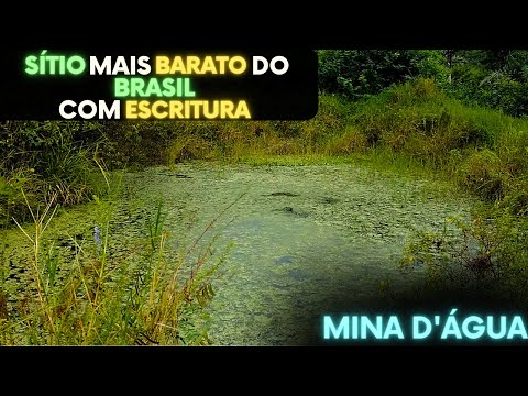 (À venda por 45 mil reais) Sítio mais BARATO do Brasil com ESCRITURA e mina de água