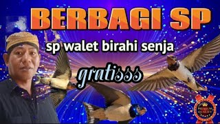 Download lagu suara panggil burung walet mp3 Download lagu suara panggil burung walet mp3