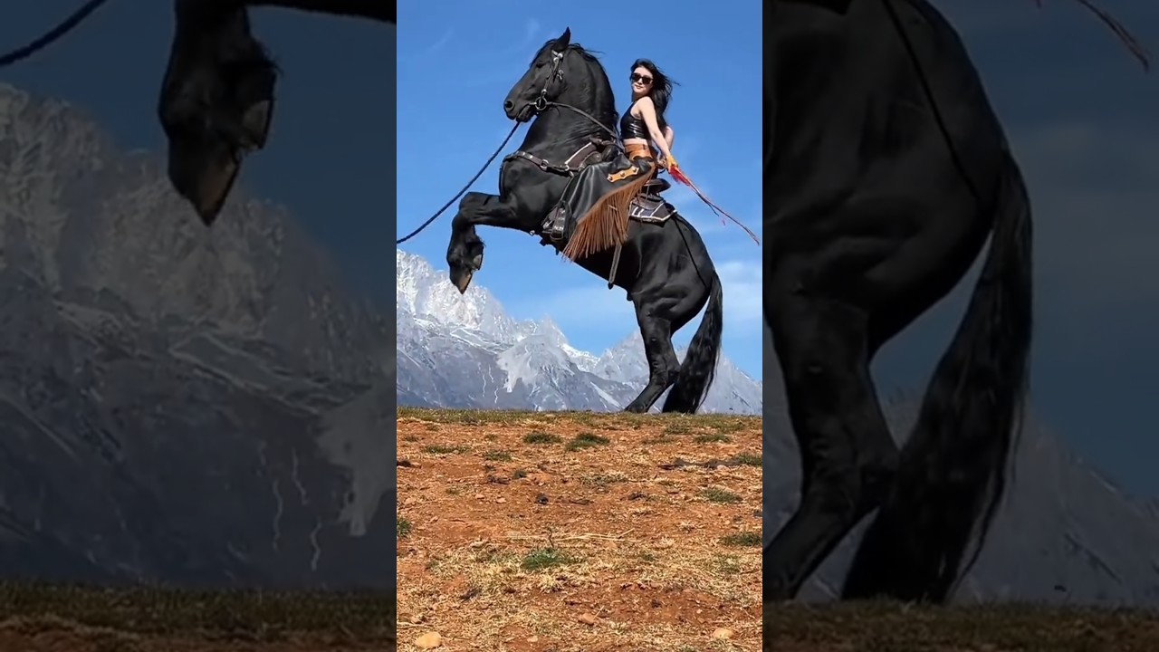 #horse #rekkkkkk #shayxrahmatullohtermiziy