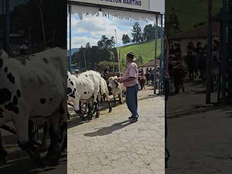 CARREANDO EM SANTA RITA DE CALDAS