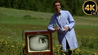 Bill Nye The Science Guy | Animal Locomotion