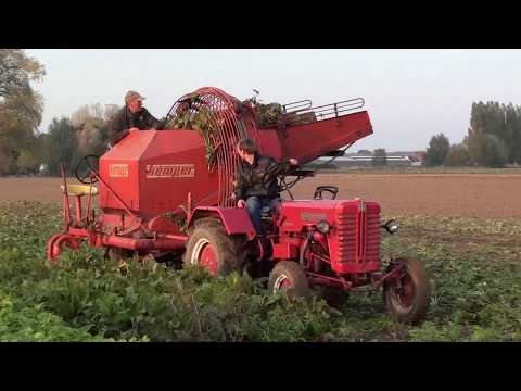 Landb. Lebbe - Ieper - Farmall D-217