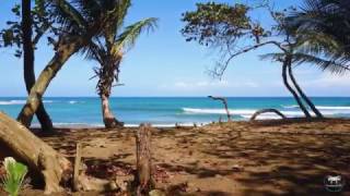 Cabarete Amanecer Hasta Atardecer / Cabarete From Sunrise To Sunset (Tomas Aereas 4k)