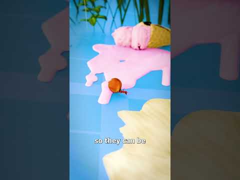 Why Some Ants Gorge Themselves 🐜😮