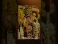 Murugan Songs Whatsapp Status Then Palani Songs BGM Lyrics Spot Murugansongs Palani BGM Spot