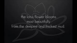 Prince   From the Lotus