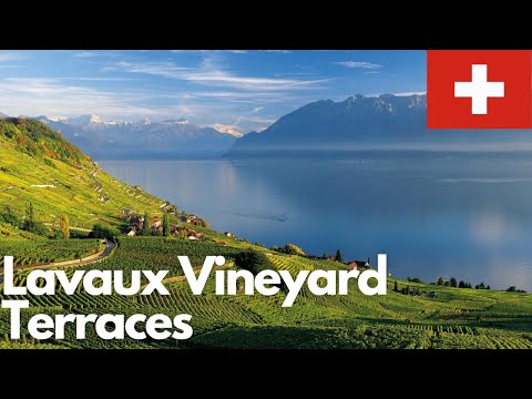 Exploring the Stunning Lavaux Vineyard Terraces in Switzerland