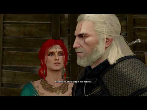 The Witcher 3 Pyres of novigrad gamebreaking bug part 2