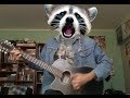 Rocky Raccoon 
