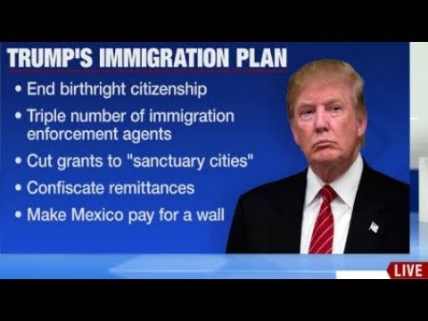 BREAKING Trump Plans to Sign Executive Order Ending Birthright Citizenship October 30 2018 News Video