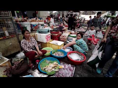 Natural Life In Cambodian Market - Noodle And Fishes Market - Phnom Penh Village Food Show
