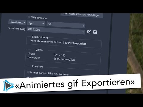 Neu in Pinnacle Studio 23 Animierte GIF Sequenz exportieren Video Tutorial Deutsch