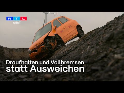 Neue Studien zu Wildunfällen: Autofahrer reagieren oft falsch | RTL WEST