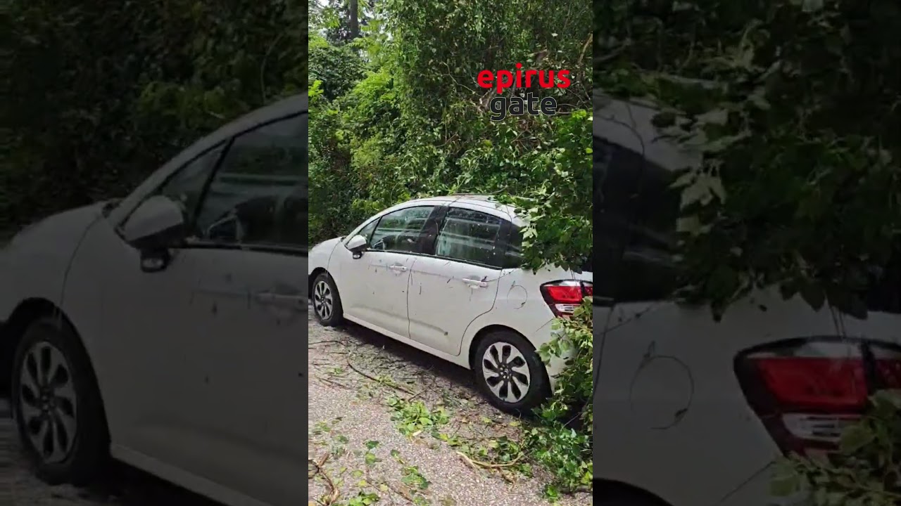 Ιωάννινα : Δέντρα καταπλάκωσαν αυτοκίνητο στην οδό Δεξαμενής - Μπουρίνι σάρωσε το λεκανοπέδιο
