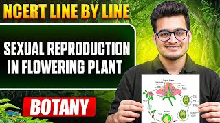 1. Sexual Reproduction in Flowering Plants