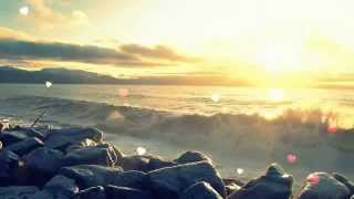 There Is No Life Without Love!