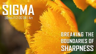 Sigma 50mm f/1.2 DG DN Art Lens - Breaking The Boundaries of Sharpness
