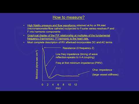 Pulmonary Hypertension... A Rare Disease?