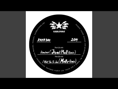 I Want You to See (Molly Remix)