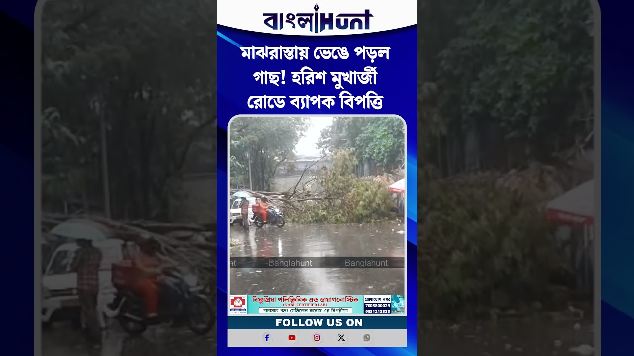 মাঝরাস্তায় ভেঙে পড়ল গাছ! হরিশ মুখার্জী রোডে ব্যাপক বিপত্তি